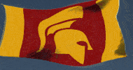 Regional Flag of Founderless