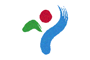 Regional Flag of Seoul