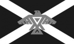 Regional Flag of Shadow Proclamation