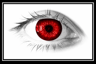 Regional Flag of Singularity